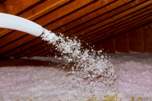 Best Energy Efficiency Solutions in Assumption, IL