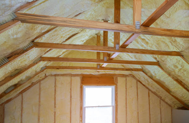 Best Insulation Maintenance and Repair in Assumption, IL