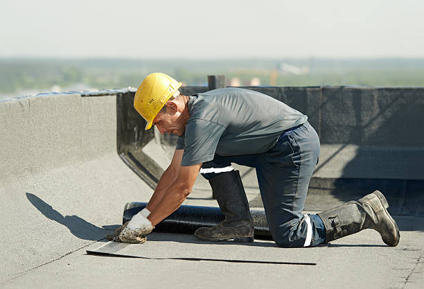 Best Commercial Insulation in Assumption, IL