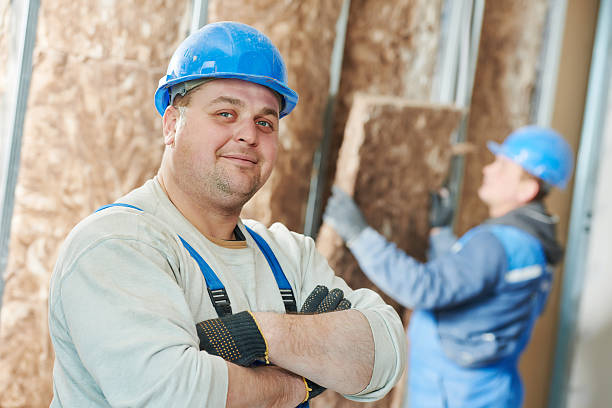 Best Energy Efficiency Solutions in Assumption, IL